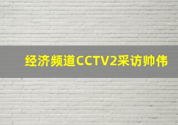 经济频道CCTV2采访帅伟