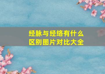 经脉与经络有什么区别图片对比大全