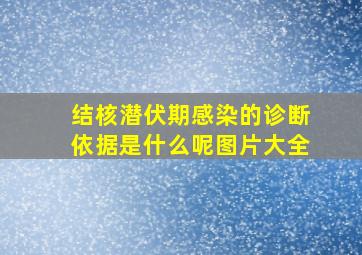 结核潜伏期感染的诊断依据是什么呢图片大全