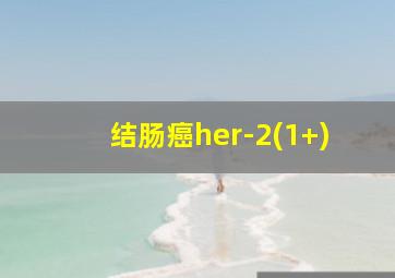 结肠癌her-2(1+)