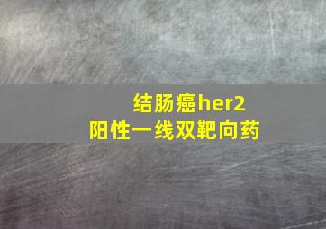 结肠癌her2阳性一线双靶向药