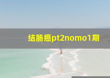 结肠癌pt2nomo1期