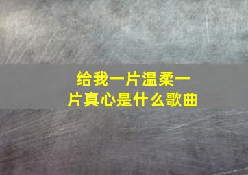 给我一片温柔一片真心是什么歌曲