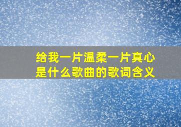 给我一片温柔一片真心是什么歌曲的歌词含义