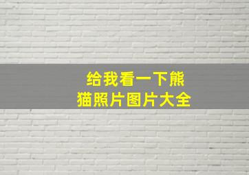 给我看一下熊猫照片图片大全