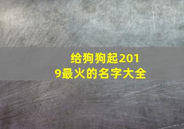 给狗狗起2019最火的名字大全