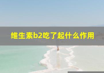 维生素b2吃了起什么作用