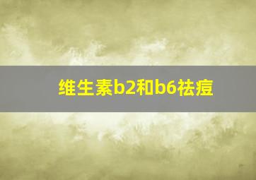 维生素b2和b6祛痘