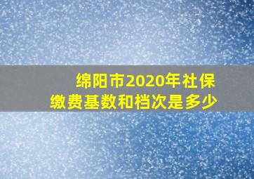 绵阳市2020年社保缴费基数和档次是多少