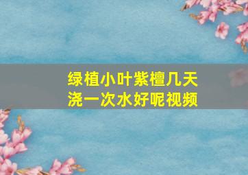 绿植小叶紫檀几天浇一次水好呢视频