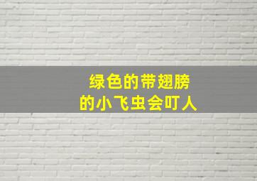 绿色的带翅膀的小飞虫会叮人