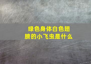 绿色身体白色翅膀的小飞虫是什么