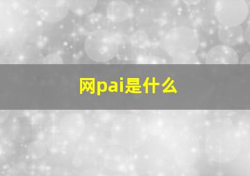 网pai是什么