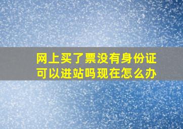 网上买了票没有身份证可以进站吗现在怎么办