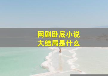 网剧卧底小说大结局是什么