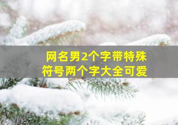 网名男2个字带特殊符号两个字大全可爱