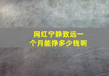 网红宁静致远一个月能挣多少钱啊