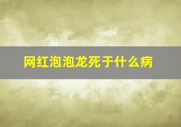 网红泡泡龙死于什么病