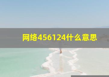 网络456124什么意思