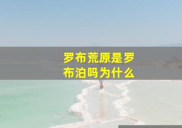 罗布荒原是罗布泊吗为什么