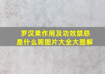 罗汉果作用及功效禁忌是什么呢图片大全大图解