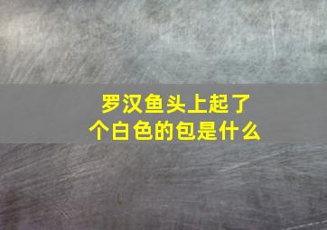 罗汉鱼头上起了个白色的包是什么