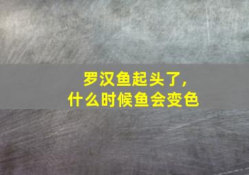 罗汉鱼起头了,什么时候鱼会变色