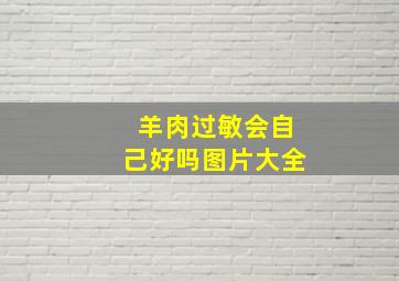 羊肉过敏会自己好吗图片大全