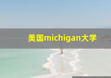 美国michigan大学