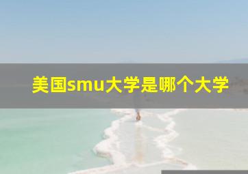 美国smu大学是哪个大学