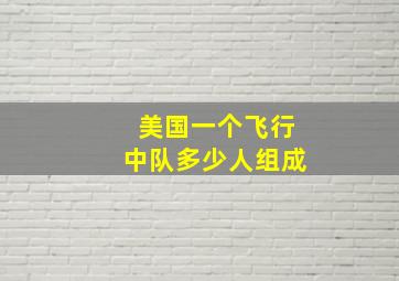 美国一个飞行中队多少人组成