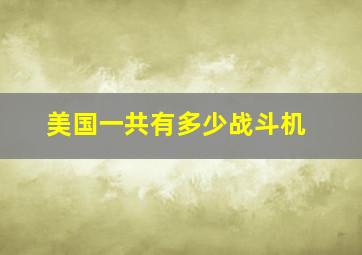 美国一共有多少战斗机