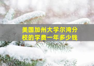 美国加州大学尔湾分校的学费一年多少钱