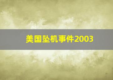 美国坠机事件2003