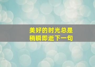 美好的时光总是稍瞬即逝下一句