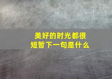 美好的时光都很短暂下一句是什么