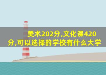 美术202分,文化课420分,可以选择的学校有什么大学