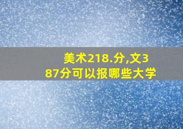 美术218.分,文387分可以报哪些大学