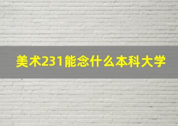 美术231能念什么本科大学