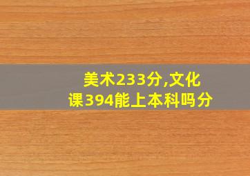 美术233分,文化课394能上本科吗分