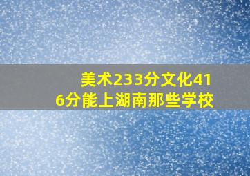 美术233分文化416分能上湖南那些学校