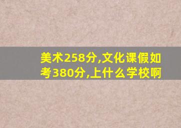 美术258分,文化课假如考380分,上什么学校啊