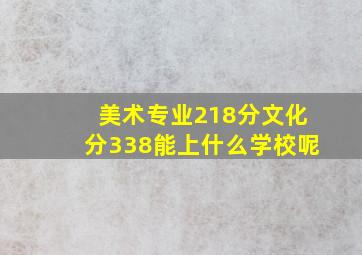 美术专业218分文化分338能上什么学校呢