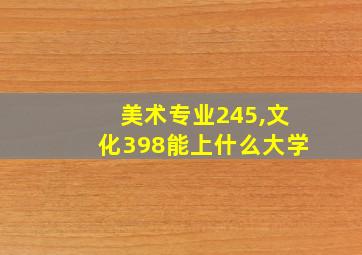 美术专业245,文化398能上什么大学