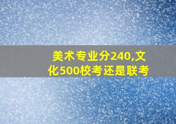 美术专业分240,文化500校考还是联考