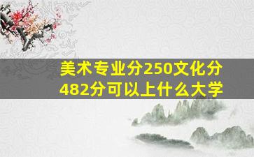 美术专业分250文化分482分可以上什么大学