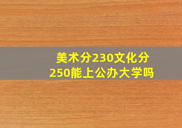 美术分230文化分250能上公办大学吗