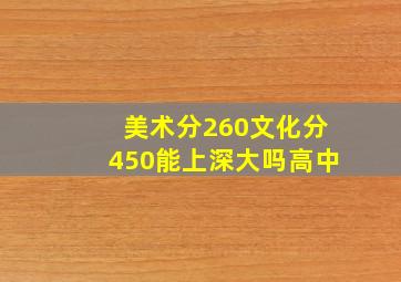 美术分260文化分450能上深大吗高中