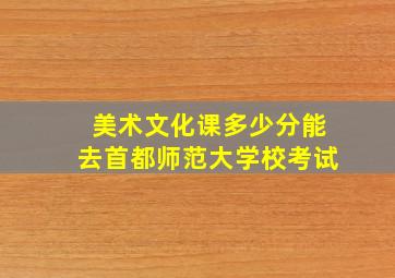 美术文化课多少分能去首都师范大学校考试