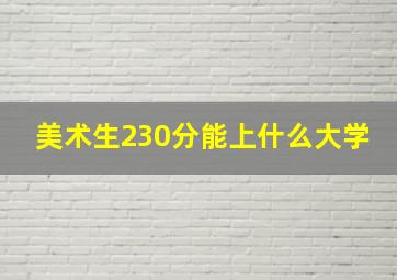 美术生230分能上什么大学